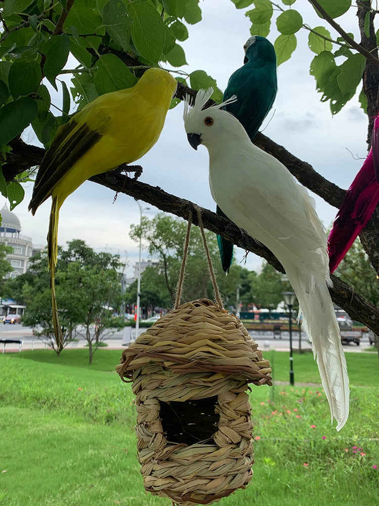Cimo - Figurilla de loro para decoración de jardín