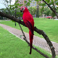 Cimo - Figurilla de loro para decoración de jardín